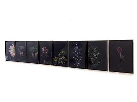 Fotoausstellung: "Plantarium - kleiner, botanischer Atlas der Garbatella"